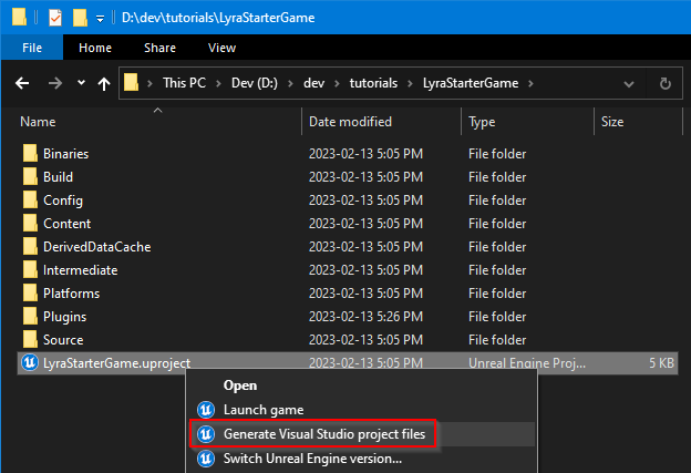 Generate Visual Studio Project Files
